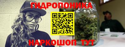 шишки Заволжье