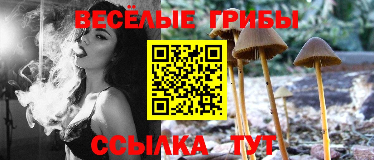 Псилоцибиновые грибы прущие грибы  Галлюциногенные грибы Psilocybe  Вход с VPN  Лабинск 
