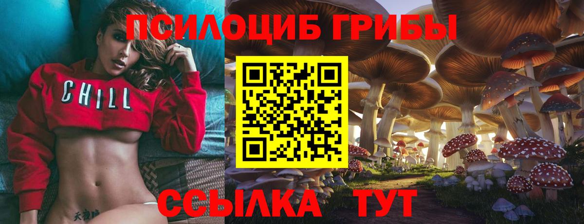 Галлюциногенные грибы прущие грибы Лабинск